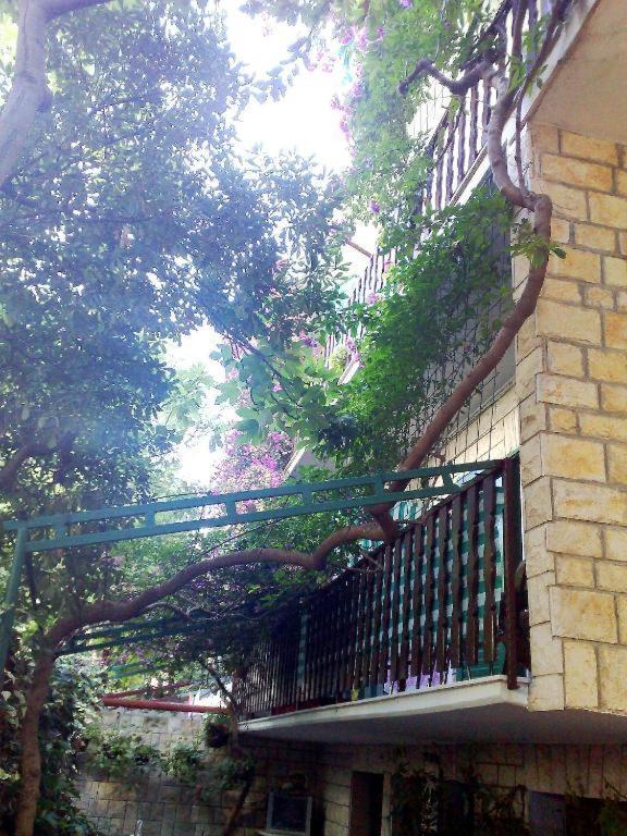 ماكارسكا Apartments Kasalo المظهر الخارجي الصورة